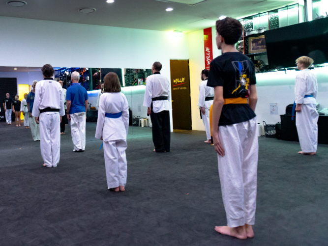 Taekwondo