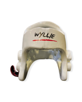 Wyllie TKD Head Guard